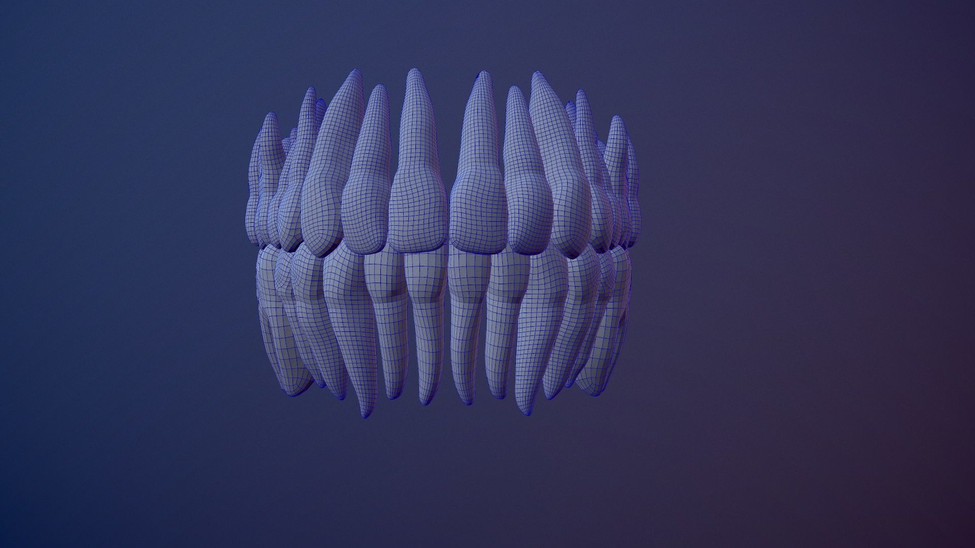 3D Detailed High and Low Poly Human Skull 3D model_33