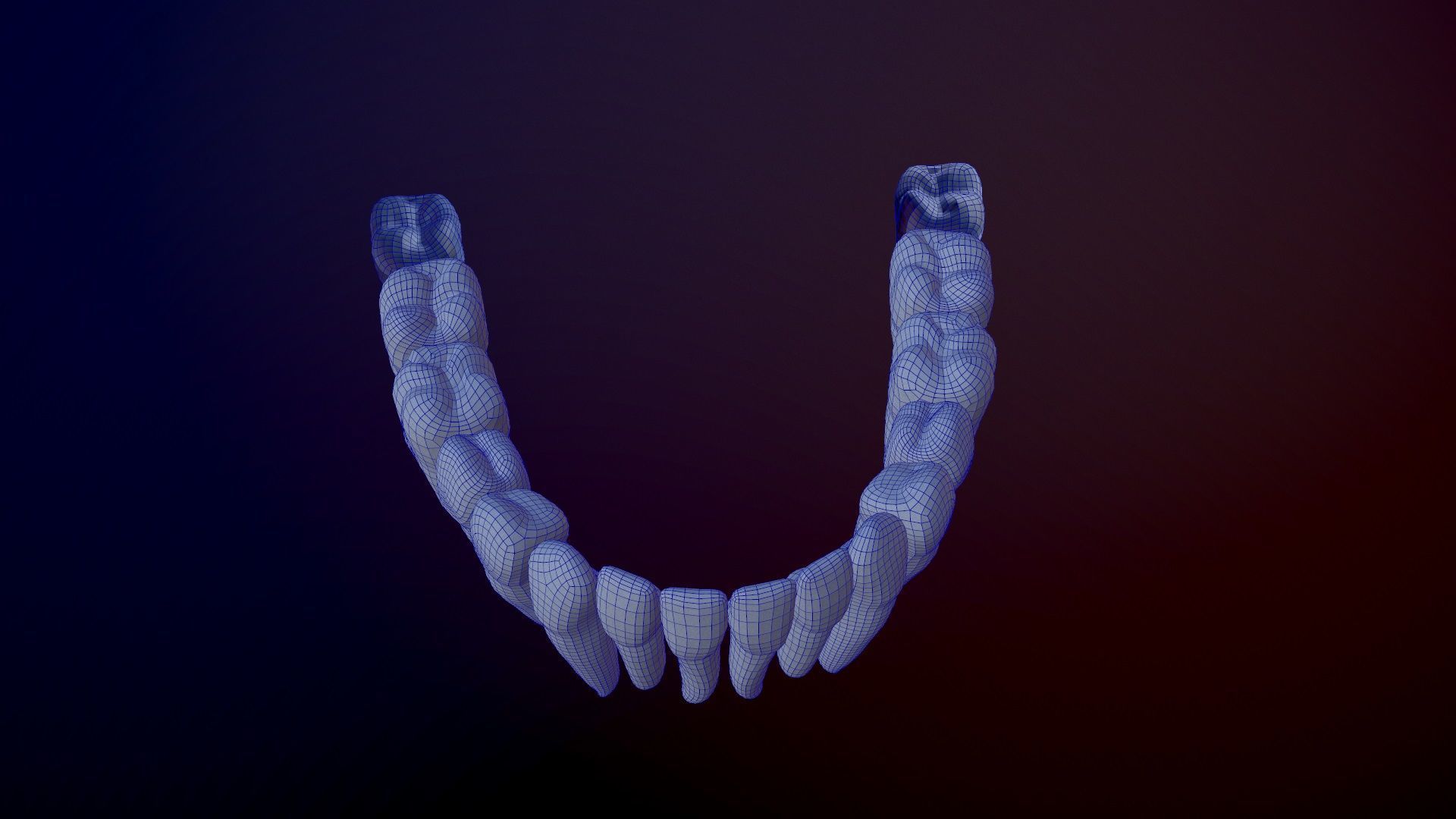 3D Detailed High and Low Poly Human Skull 3D model_34