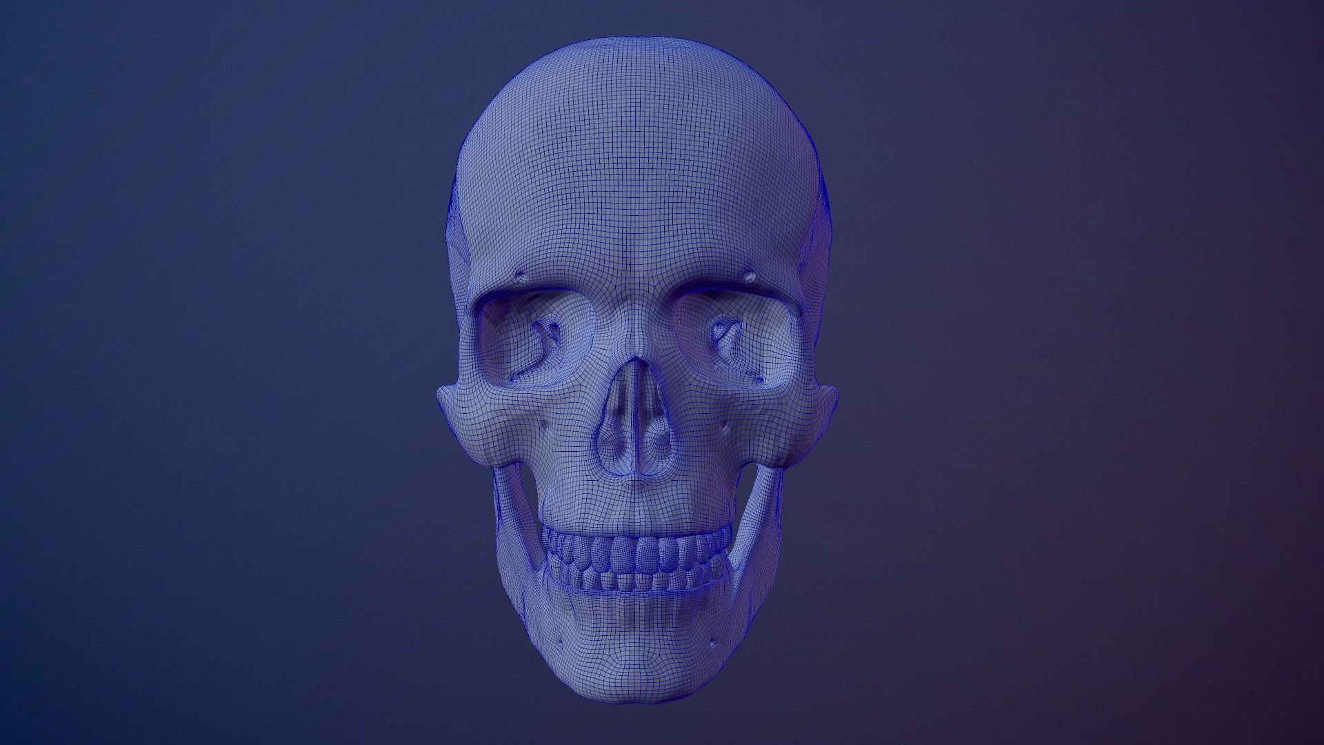 3D Detailed High and Low Poly Human Skull 3D model_32