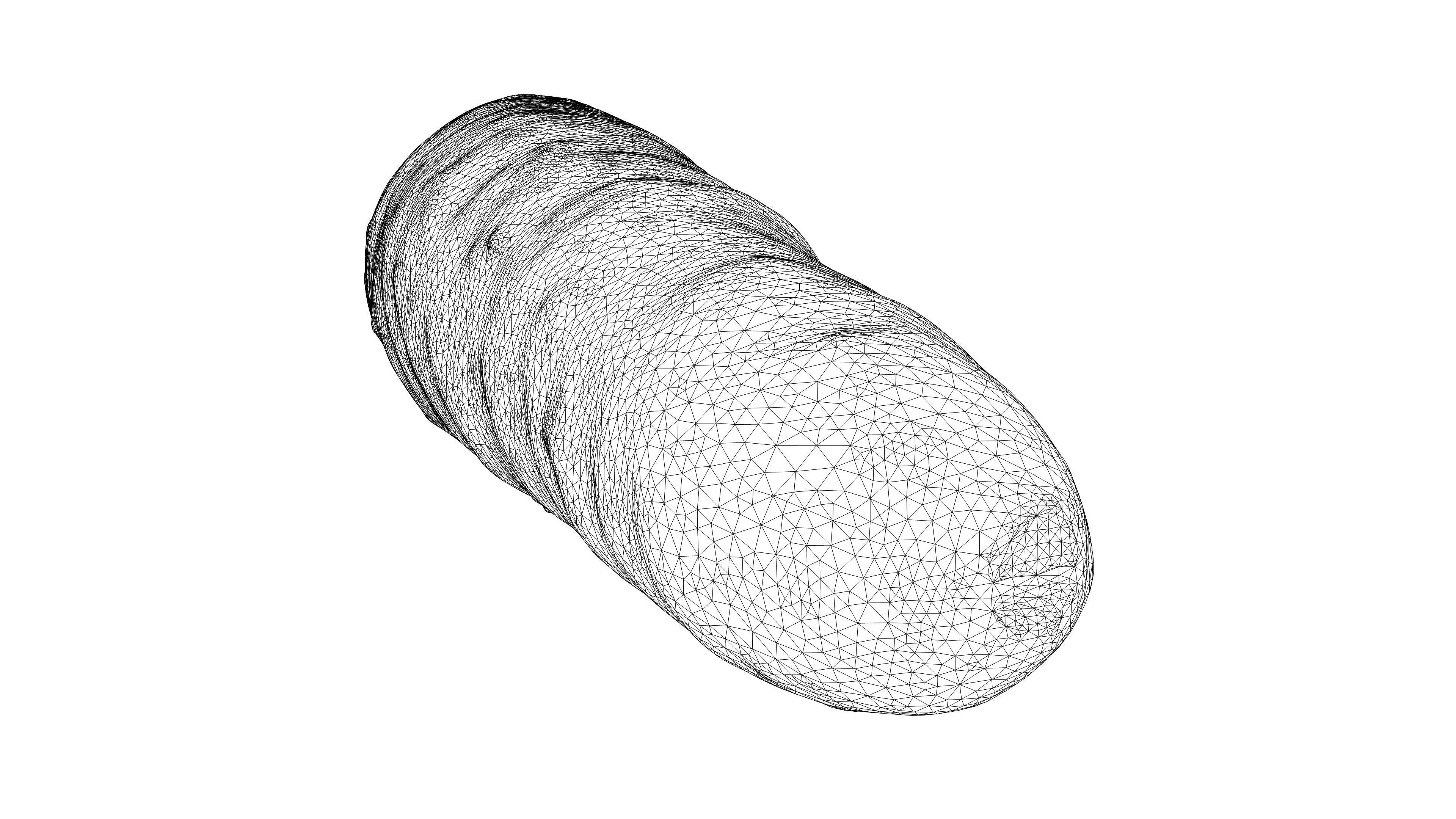Photorealistic 3D scan of carrot Low-poly 3D model_23