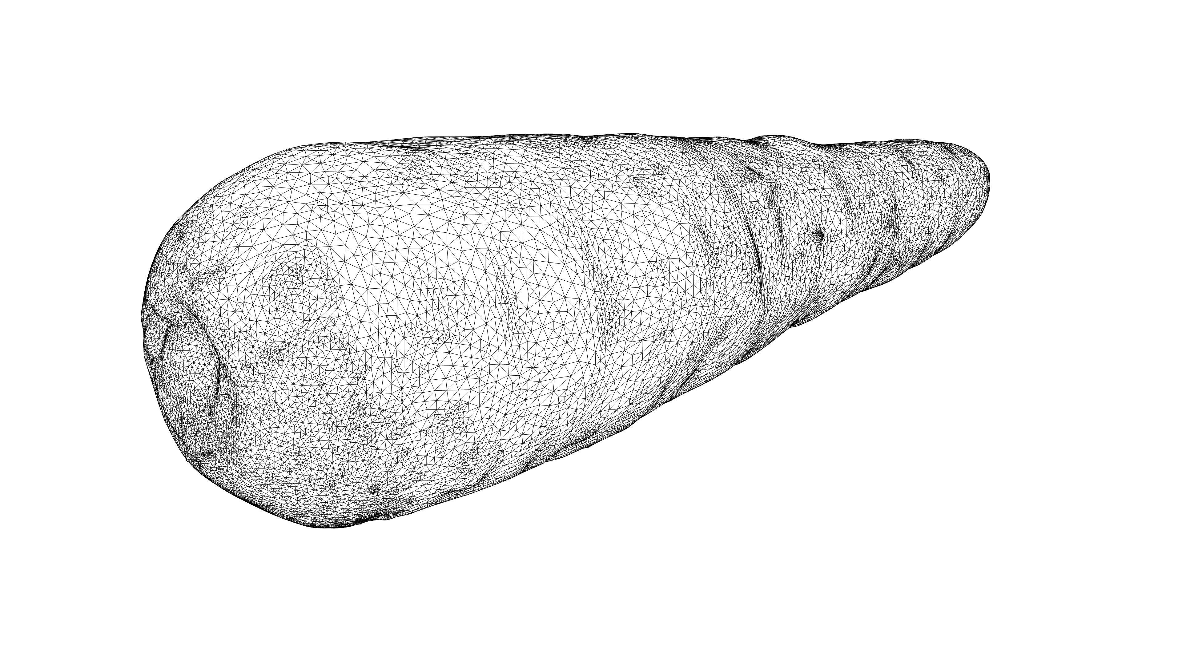 Photorealistic 3D scan of carrot Low-poly 3D model_19