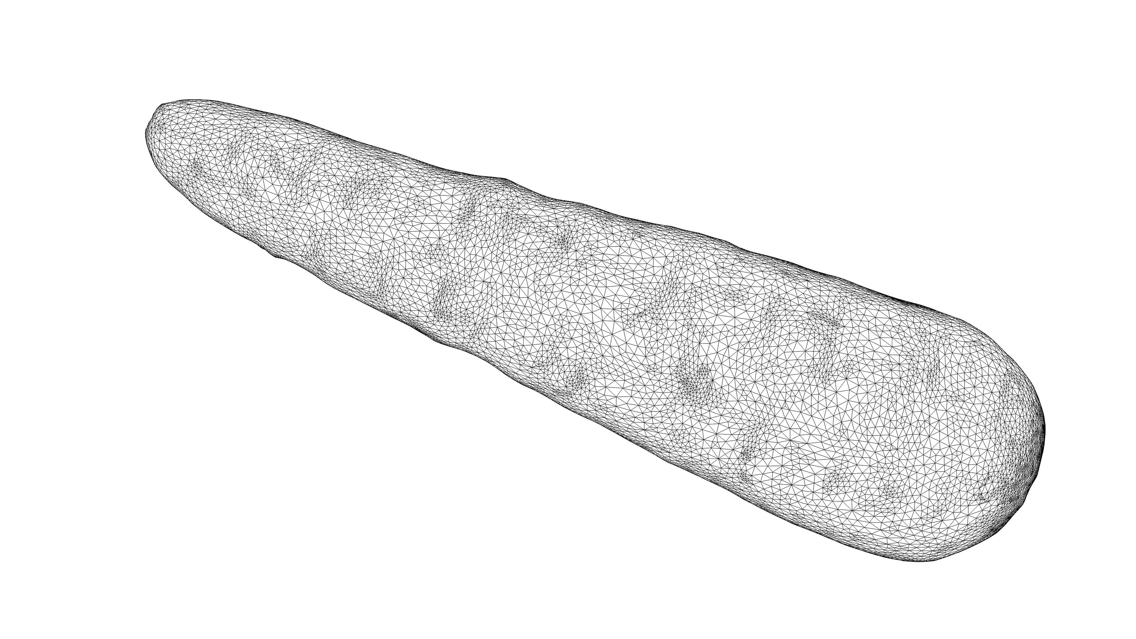 Photorealistic 3D scan of carrot Low-poly 3D model_21