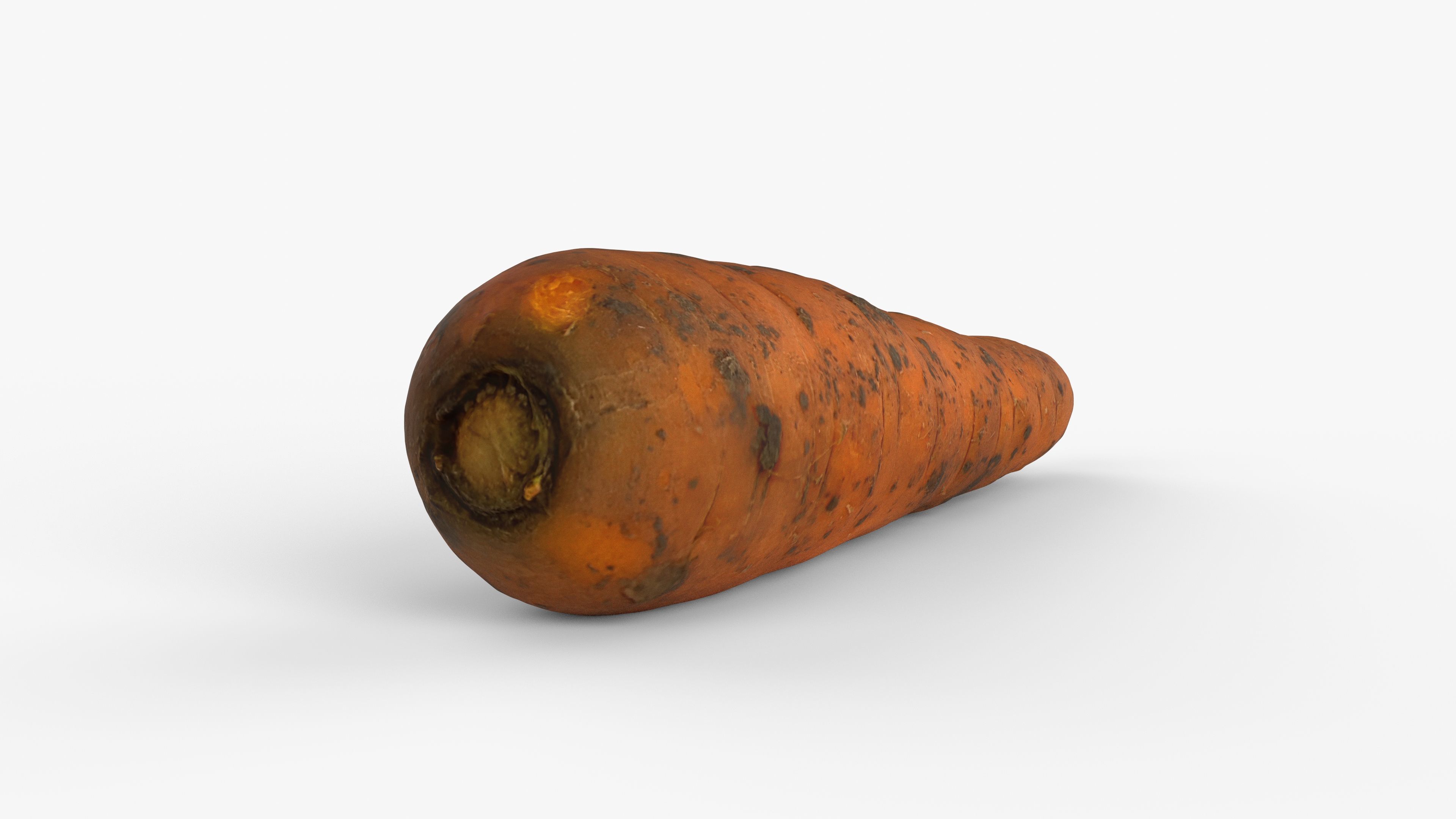 Photorealistic 3D scan of carrot Low-poly 3D model_9