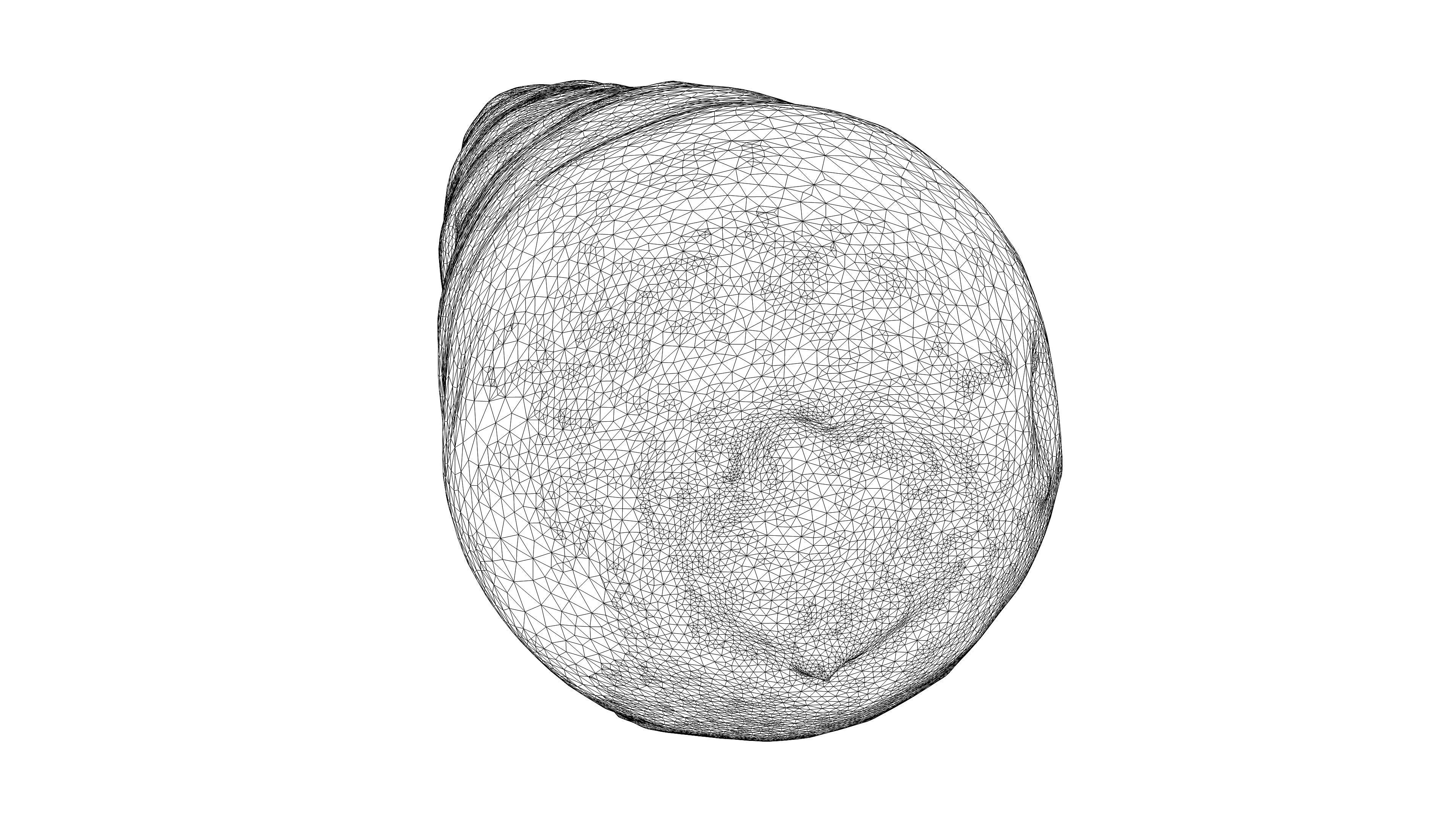 Photorealistic 3D scan of carrot Low-poly 3D model_22