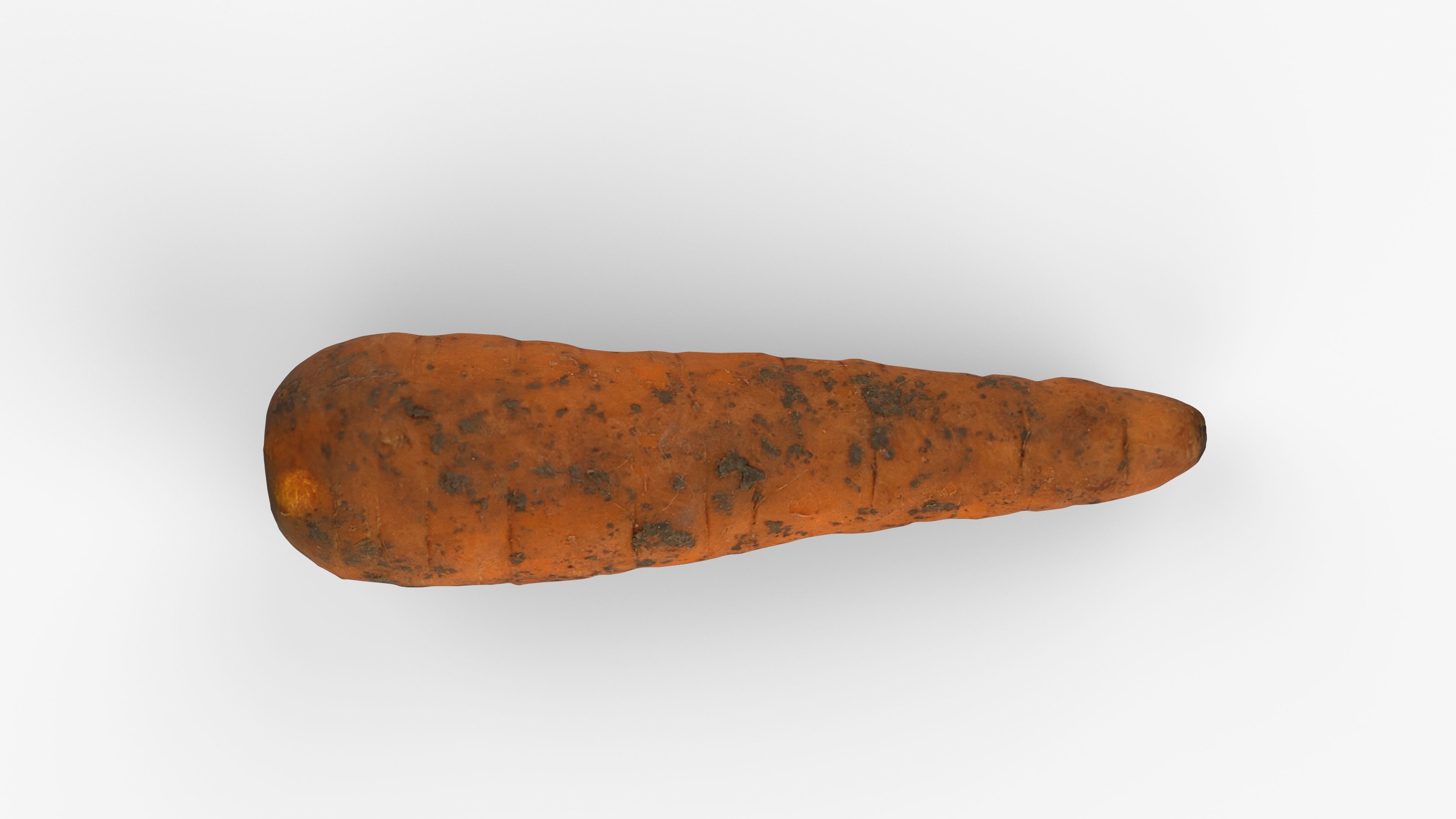 Photorealistic 3D scan of carrot Low-poly 3D model_12