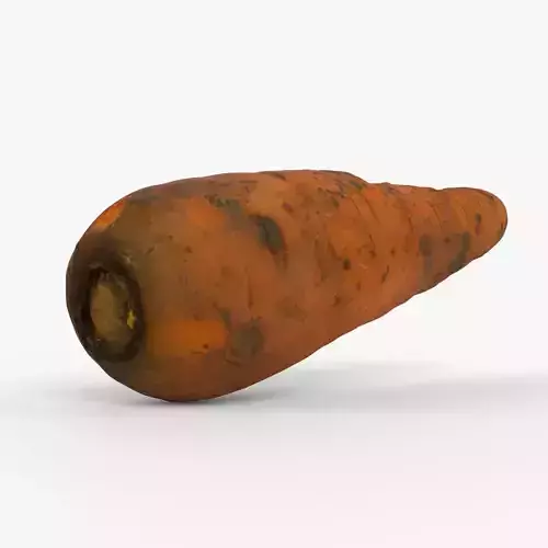 Photorealistic 3D scan of carrot Low-poly 3D model