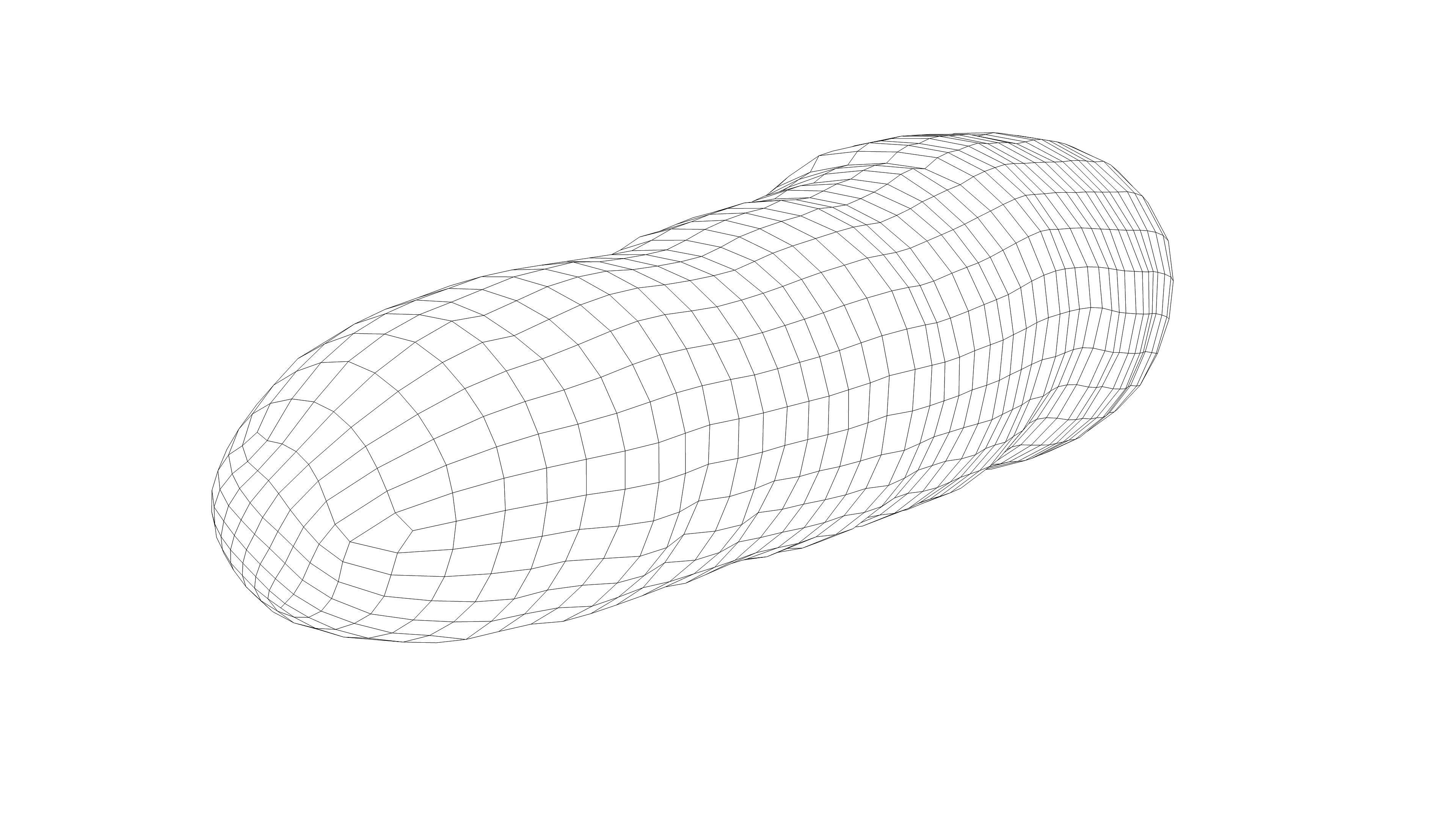 Photorealistic 3D scan of carrot Low-poly 3D model_17