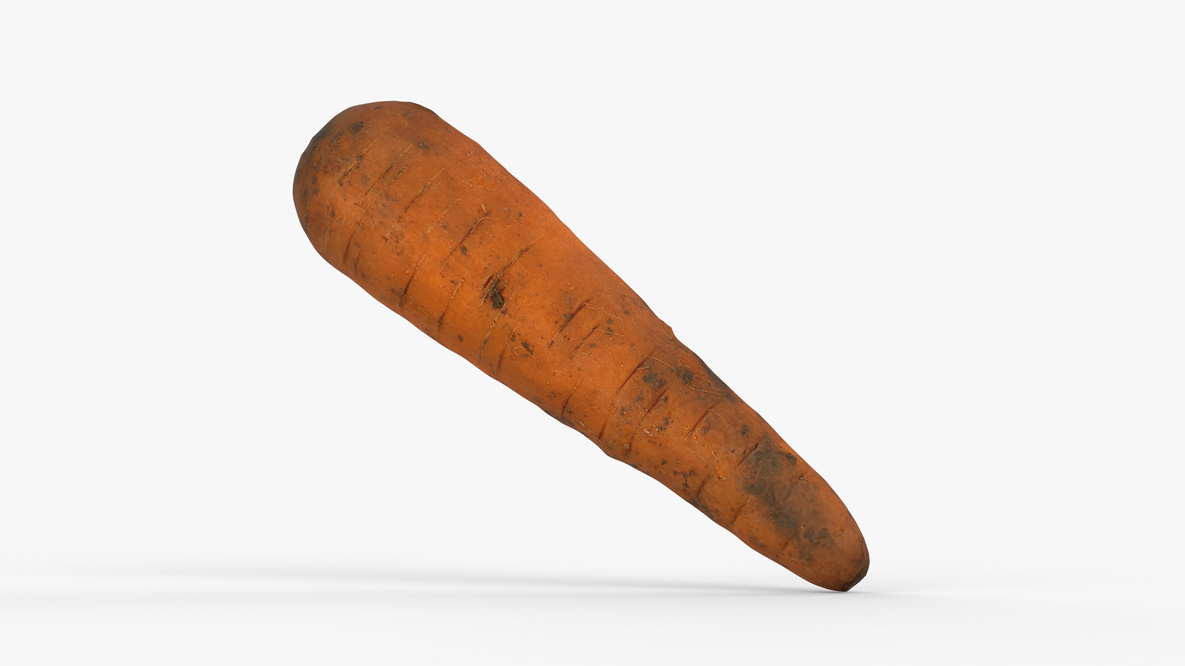 Photorealistic 3D scan of carrot Low-poly 3D model_13