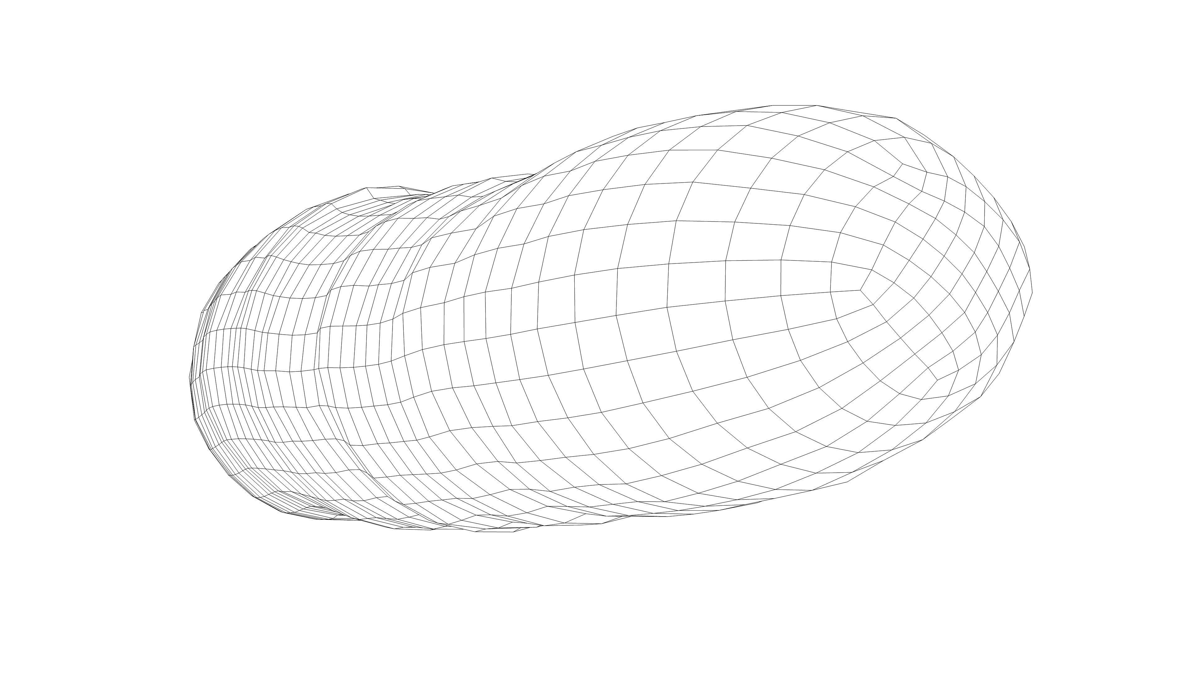 Photorealistic 3D scan of carrot Low-poly 3D model_18