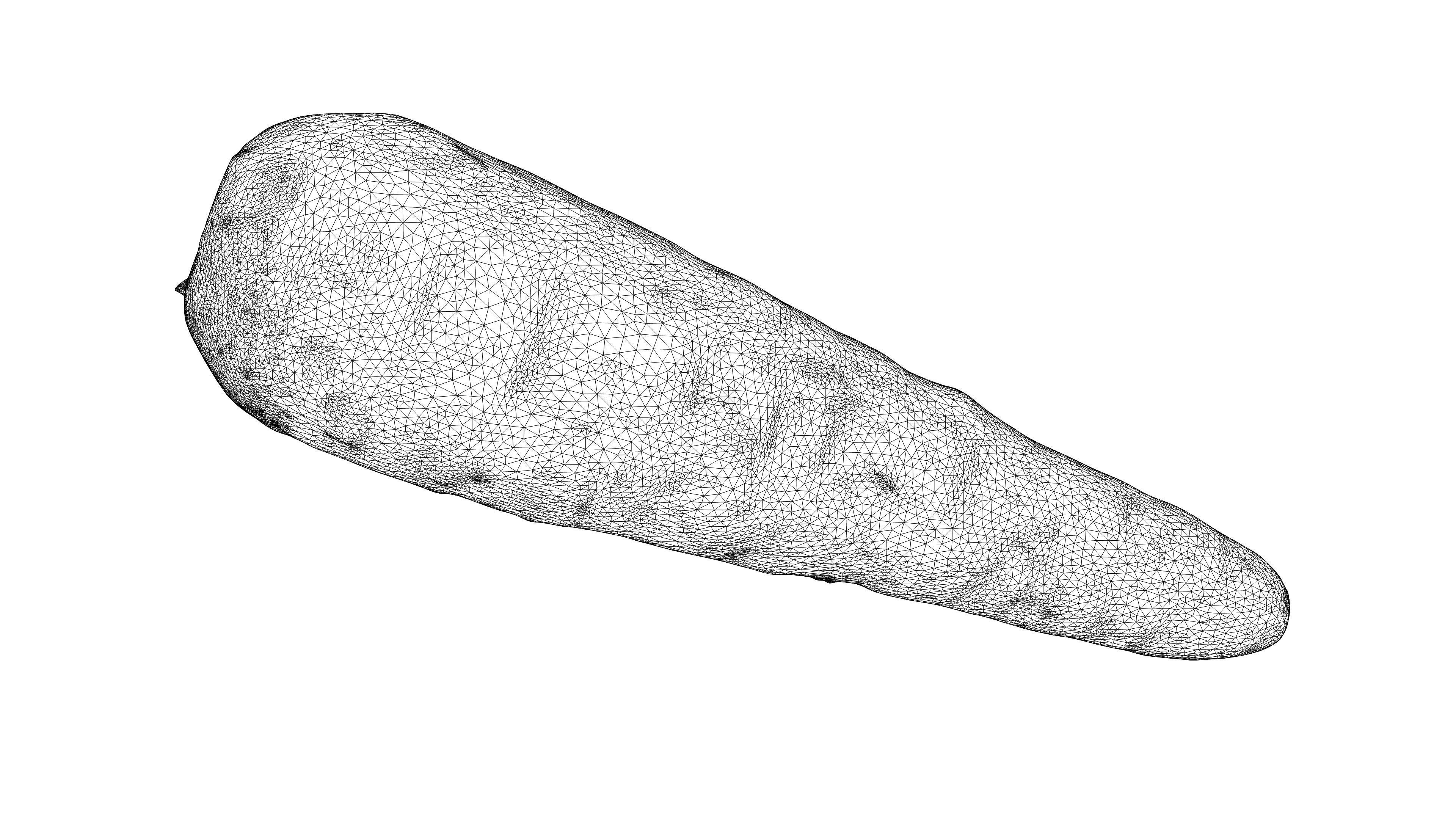 Photorealistic 3D scan of carrot Low-poly 3D model_20