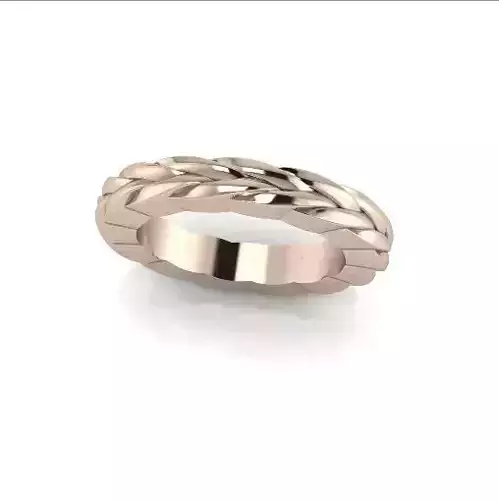 Ring Model 6016