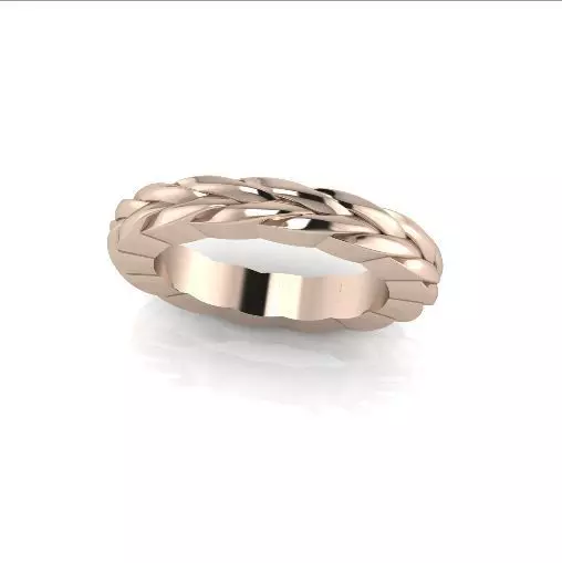 Ring Model 6016 3D print model_0