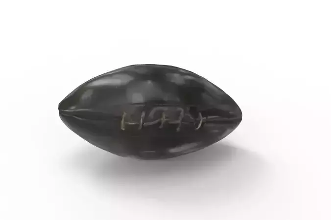 Vintage Leather Football