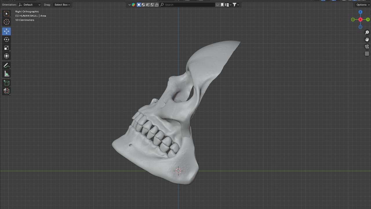 Human Skull Mask High Resolution 3D model_2