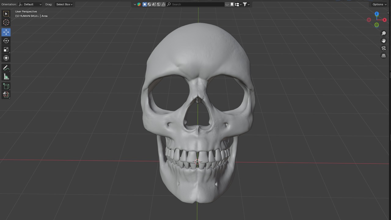Human Skull Mask High Resolution 3D model_1