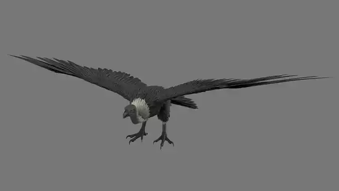vulture 3D model