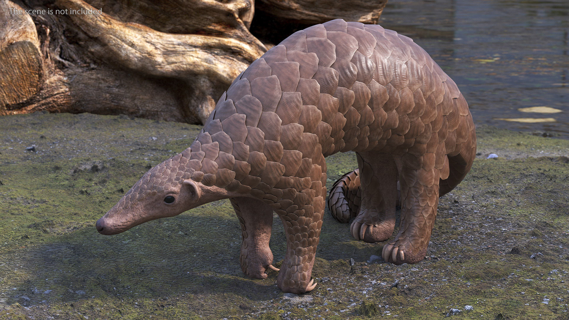 Pangolin Rigged for Cinema 4D 3D model