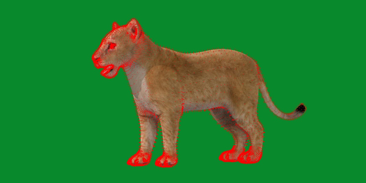 Lion Cub Low-poly 3D model_15