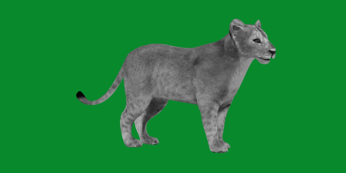 Lion Cub Low-poly 3D model_10