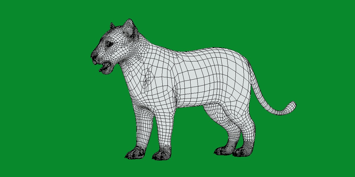 Lion Cub Low-poly 3D model_14