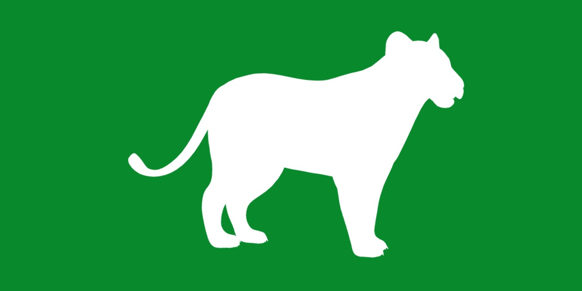 Lion Cub Low-poly 3D model_5