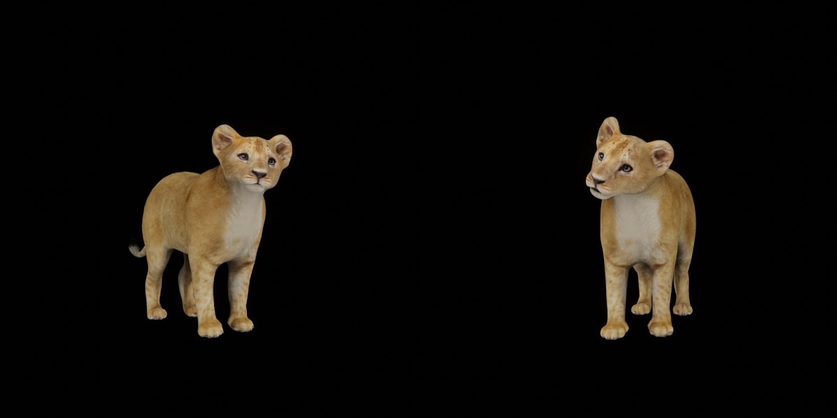Lion Cub Low-poly 3D model_3