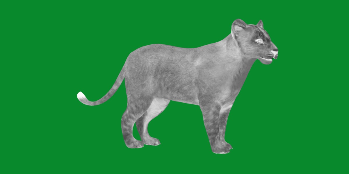 Lion Cub Low-poly 3D model_7