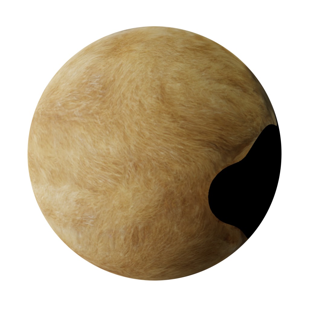 Lion Cub Low-poly 3D model_38