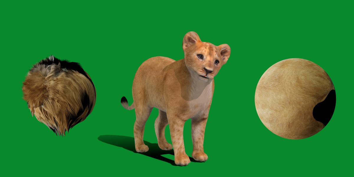 Lion Cub Low-poly 3D model_16