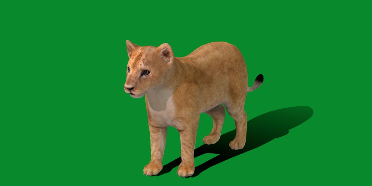 Lion Cub Low-poly 3D model_29
