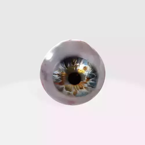 Realistic Human Eye
