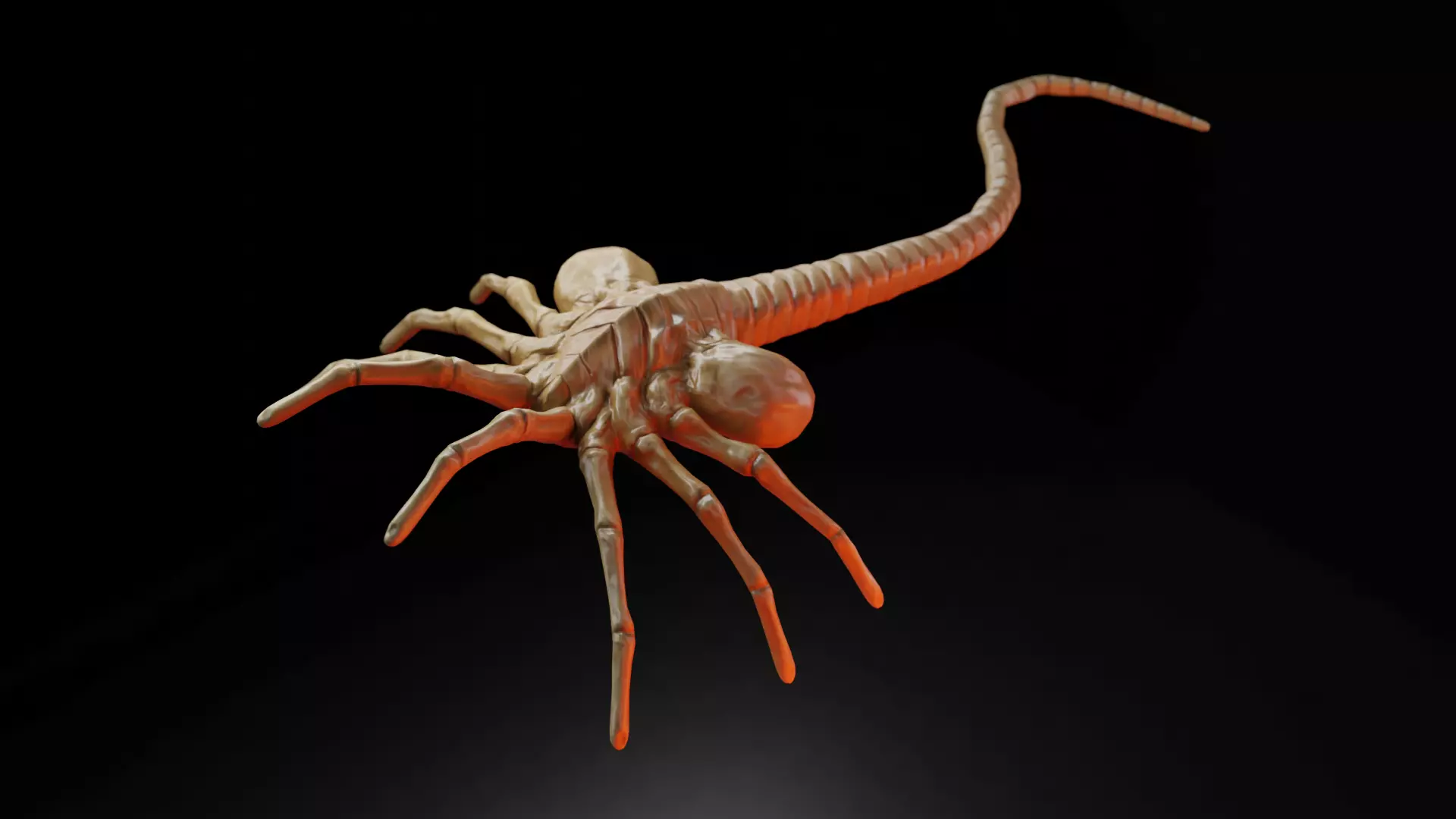 Alien Facehugger Low poly Low-poly 3D model_0