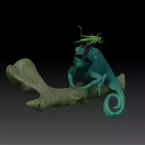 Panther Chameleon - Furcifer pardalis NosyBe with Tongue Shot