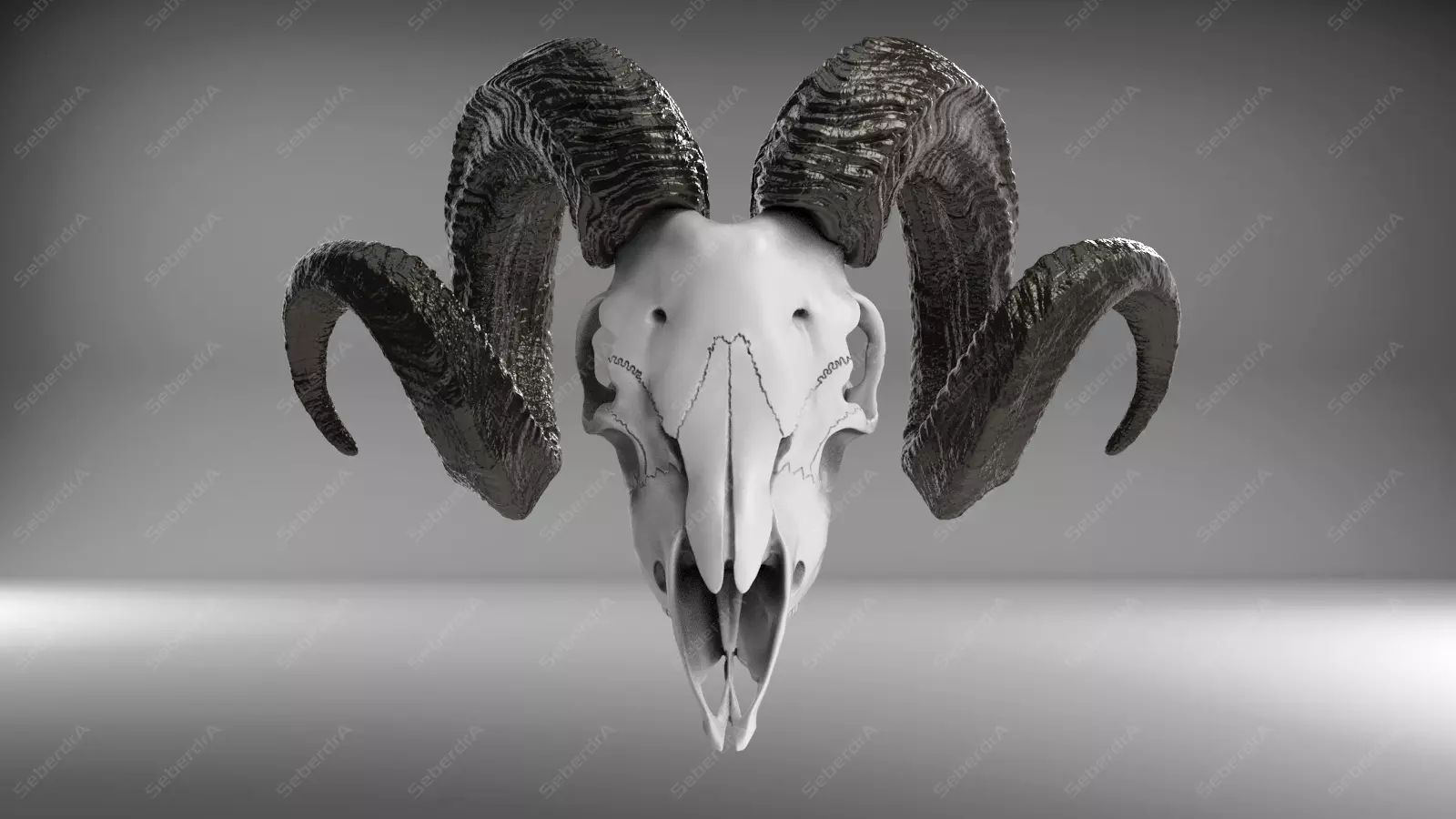 Goat Skull V1 STL for 3D print model