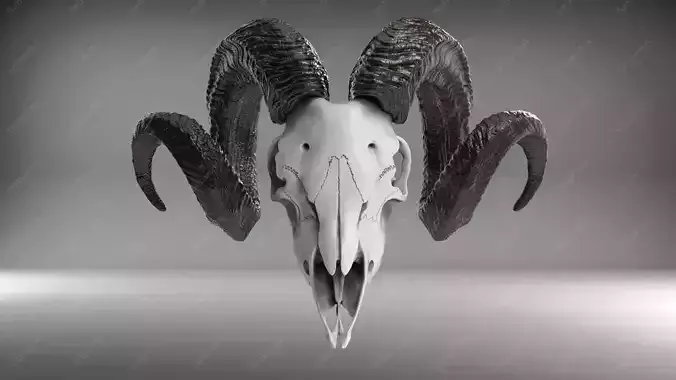 Goat Skull V1 STL for 