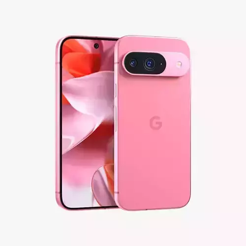 Google Pixel 9 Peony Low-poly 3D model