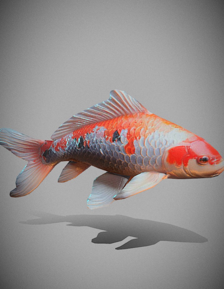 Beautiful fish  3D model_1