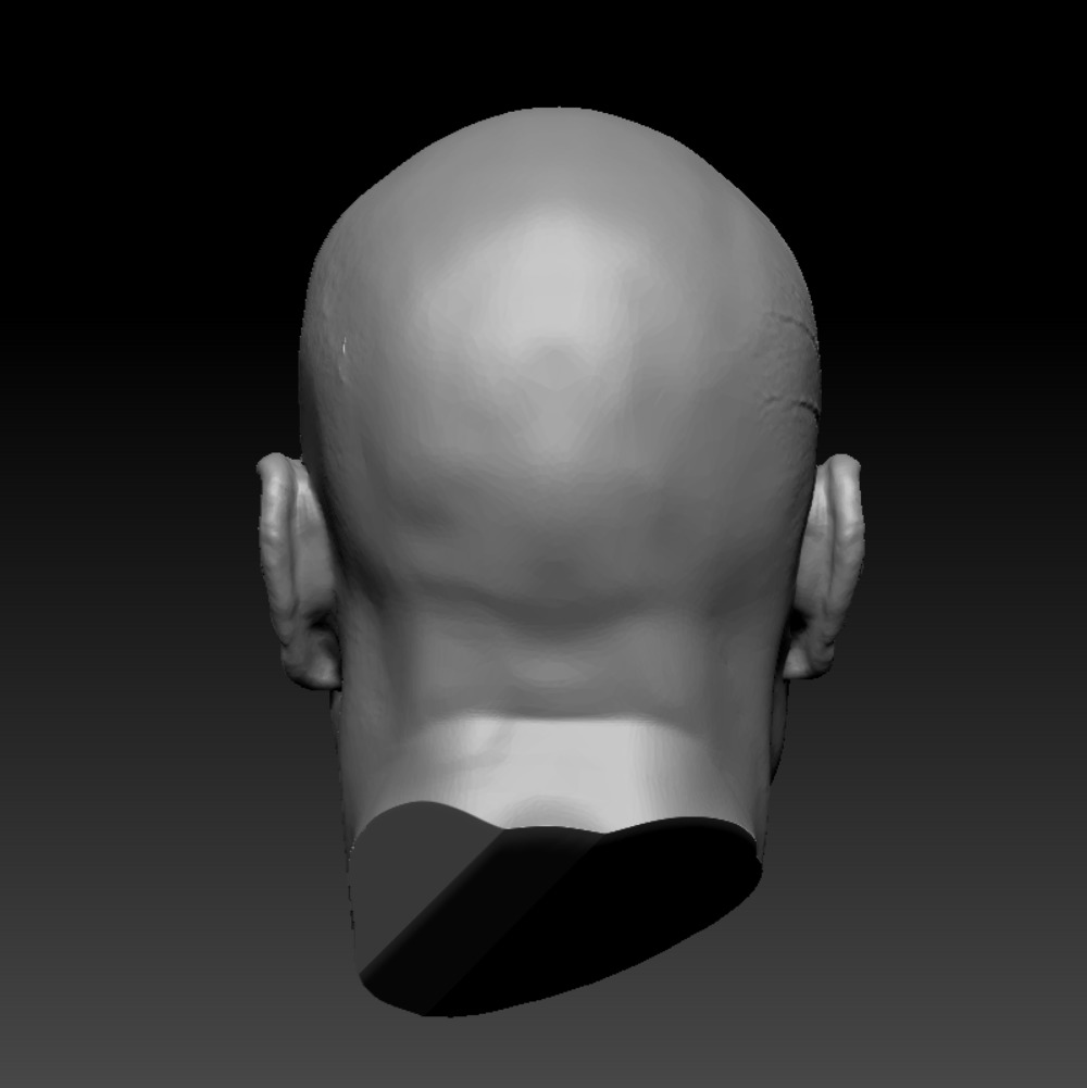 BRUCE WILLIS HEAD SCULPTURE 3D PRINT MODEL 3D print model_3