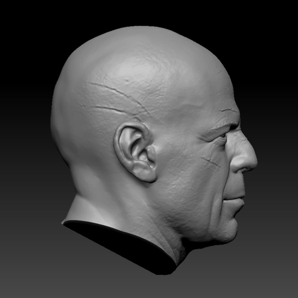 BRUCE WILLIS HEAD SCULPTURE 3D PRINT MODEL 3D print model_2