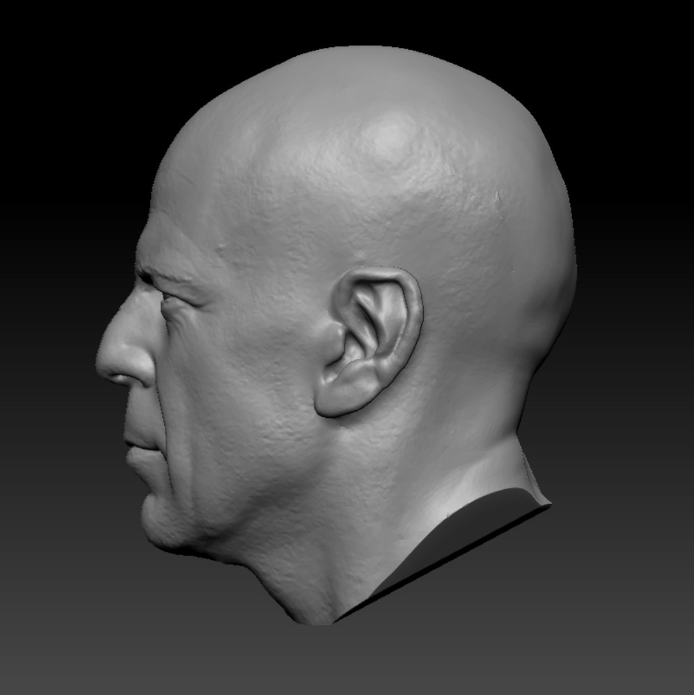 BRUCE WILLIS HEAD SCULPTURE 3D PRINT MODEL 3D print model_4