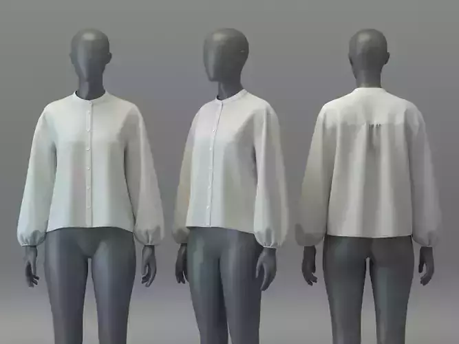 Basic Chiffon Blouse