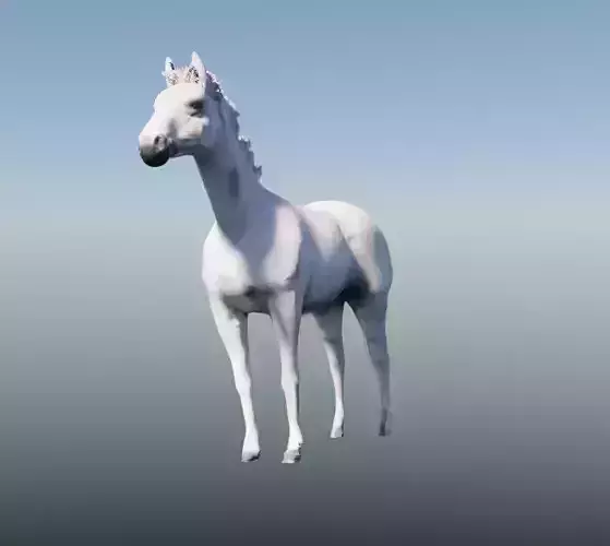 White Horse Free 3D model