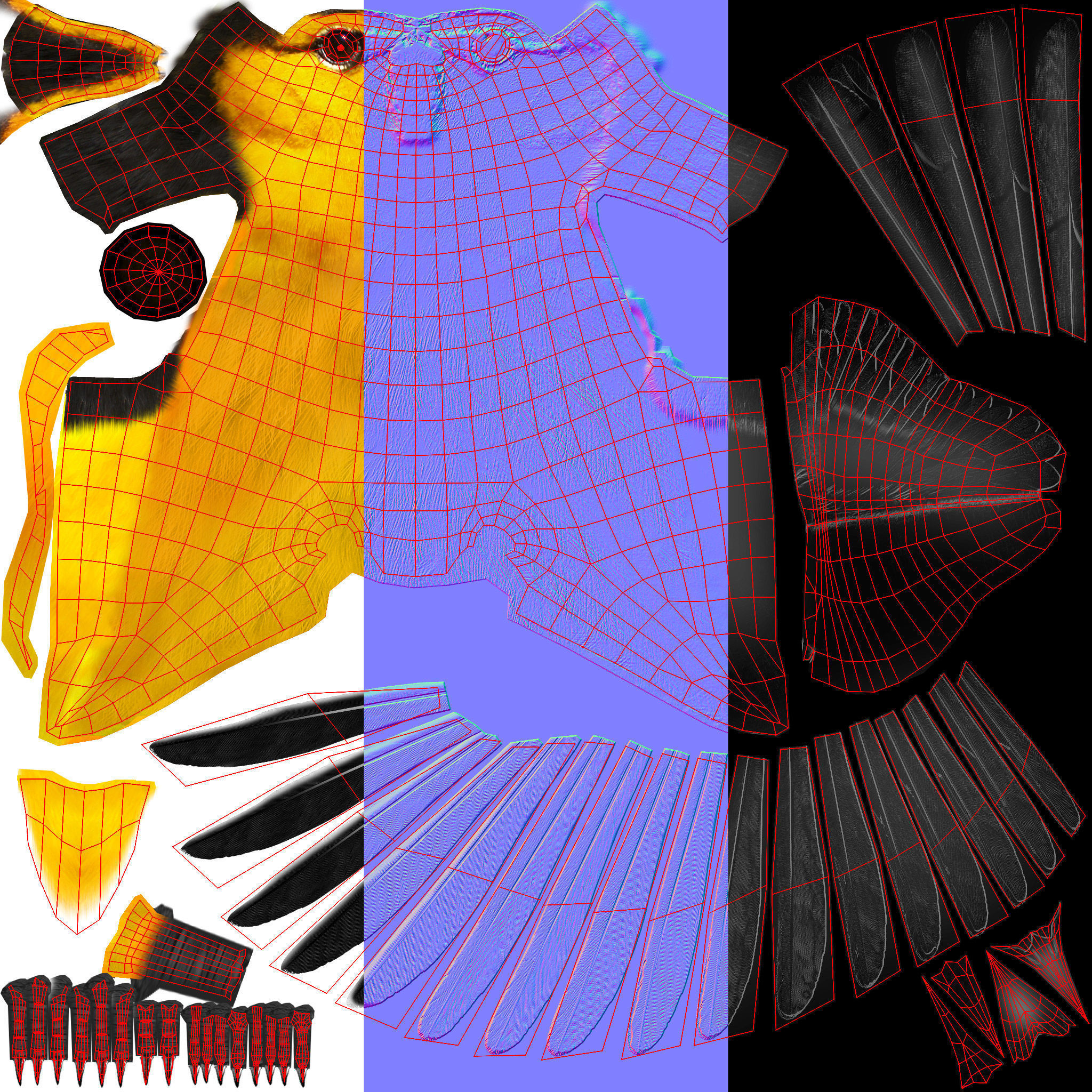 3D Bird Pack Bullocks Oriole Male and Female Low-poly 3D model_38