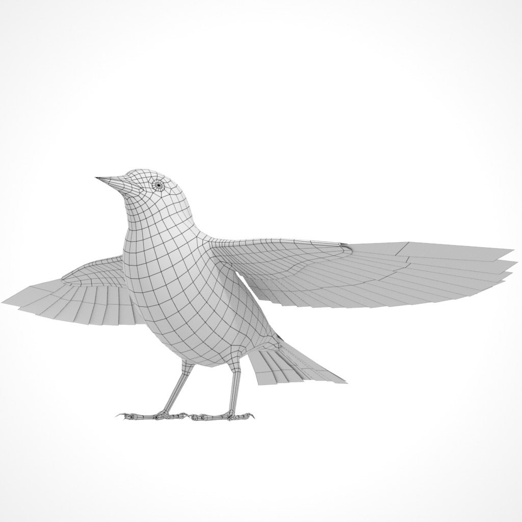3D Bird Pack Bullocks Oriole Male and Female Low-poly 3D model_40