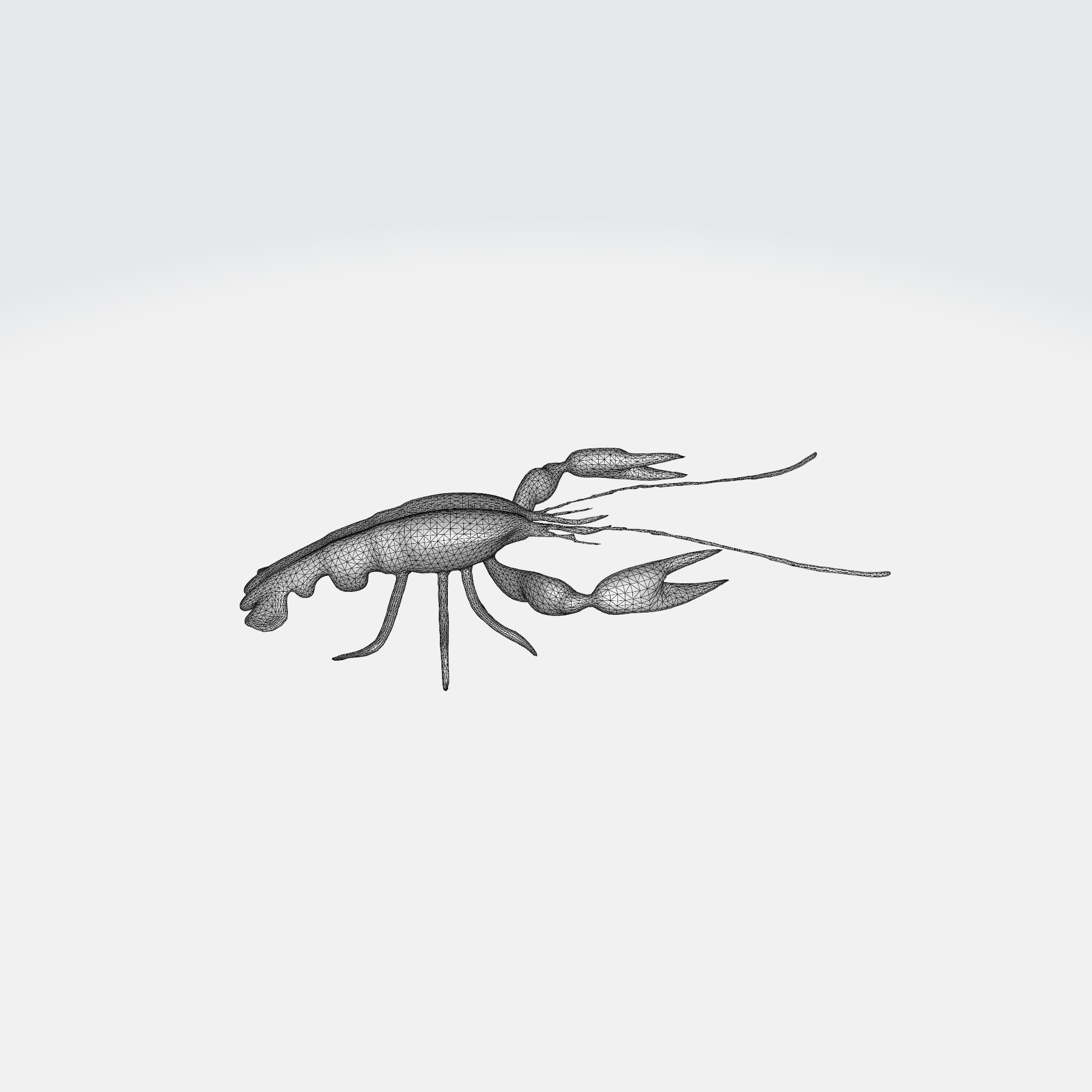 river lobster 3D model_10