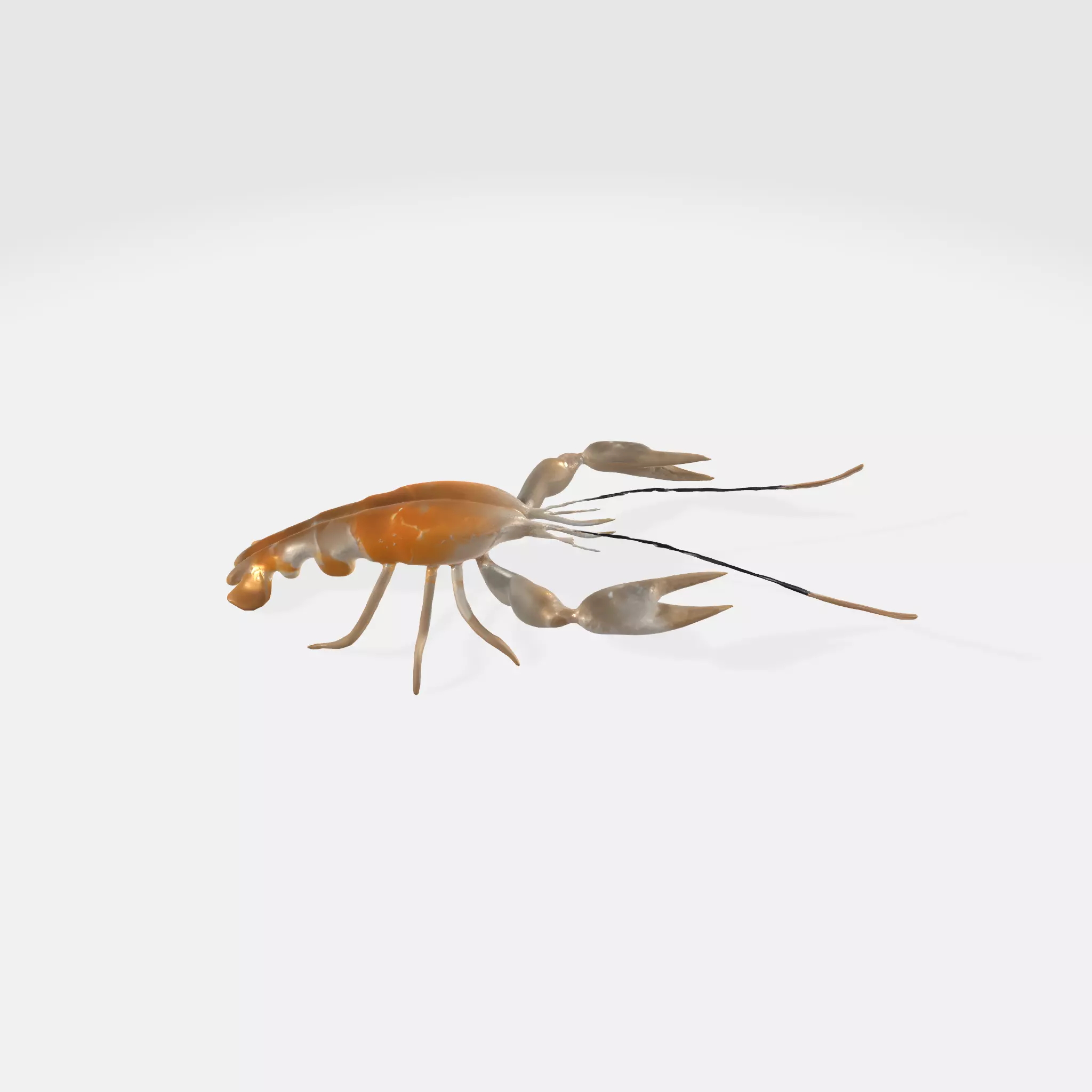 river lobster 3D model_0
