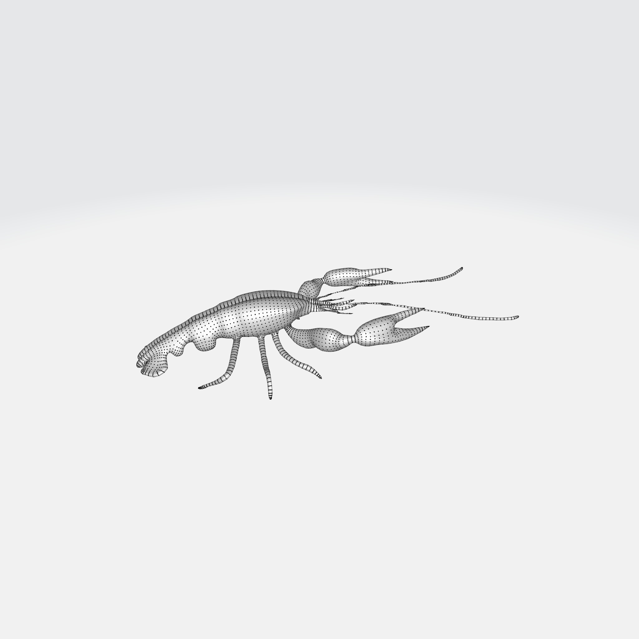 river lobster 3D model_13
