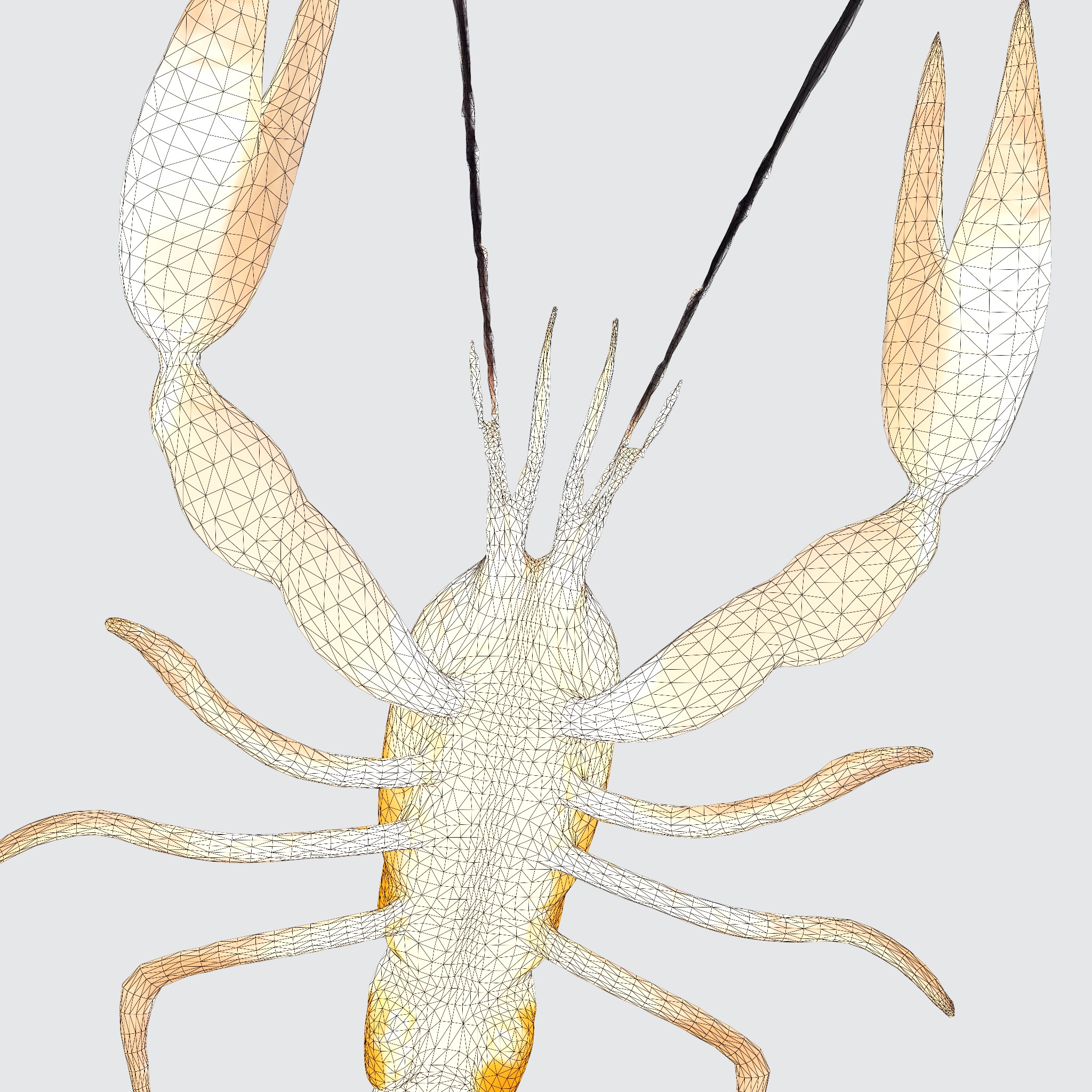 river lobster 3D model_6
