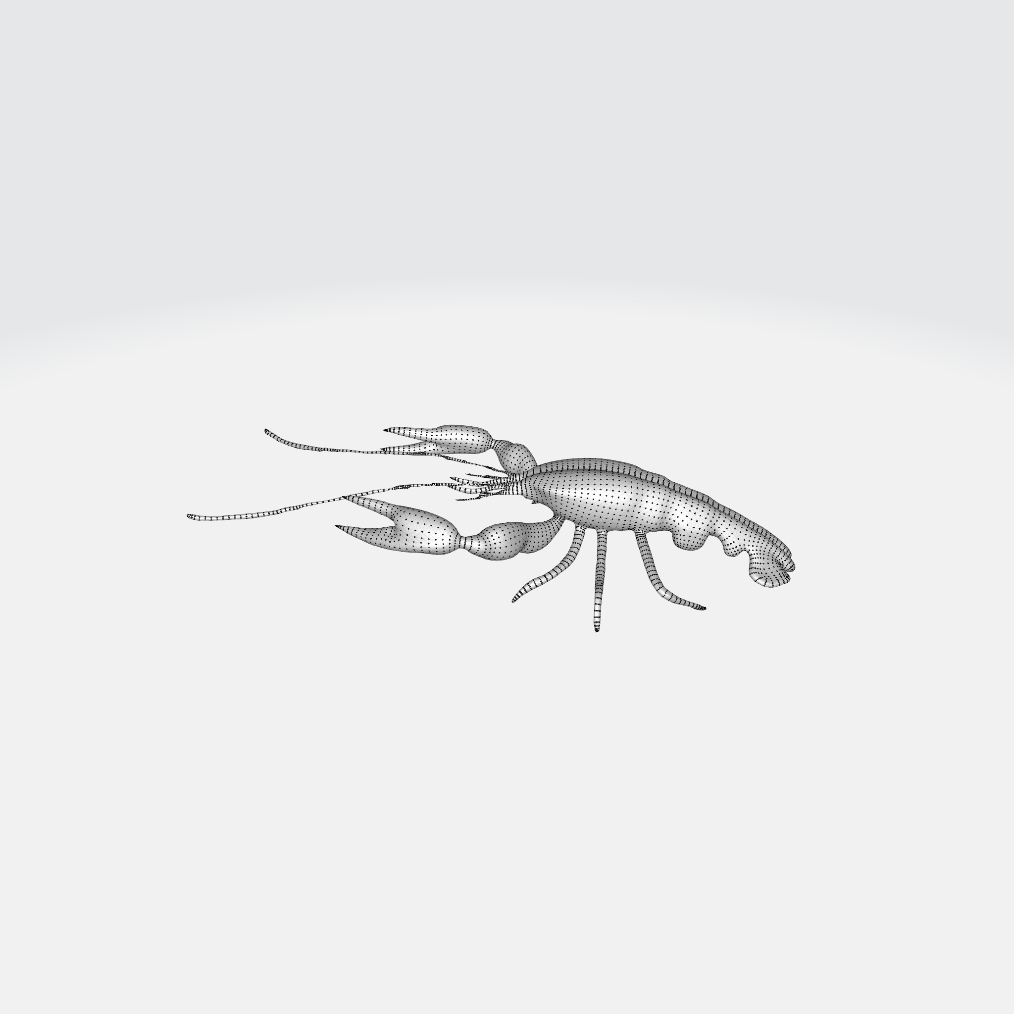river lobster 3D model_12