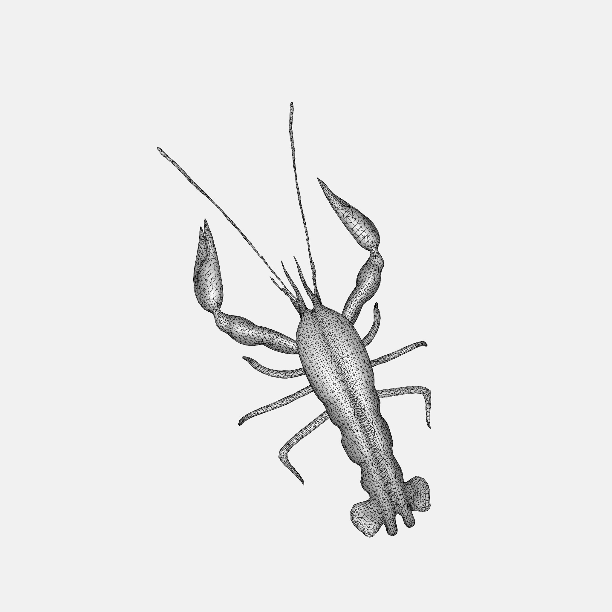 river lobster 3D model_7